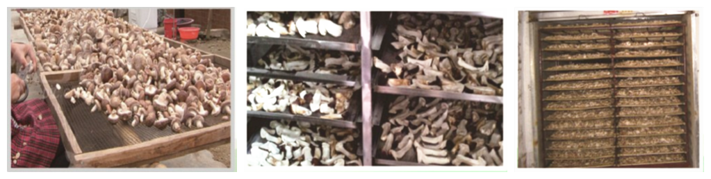 5c11cb3254446.png 5c11cb3254446.png